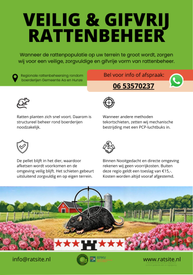 Informatief poster over veilig en gifvrij rattenbeheer met contactinformatie en illustratie.